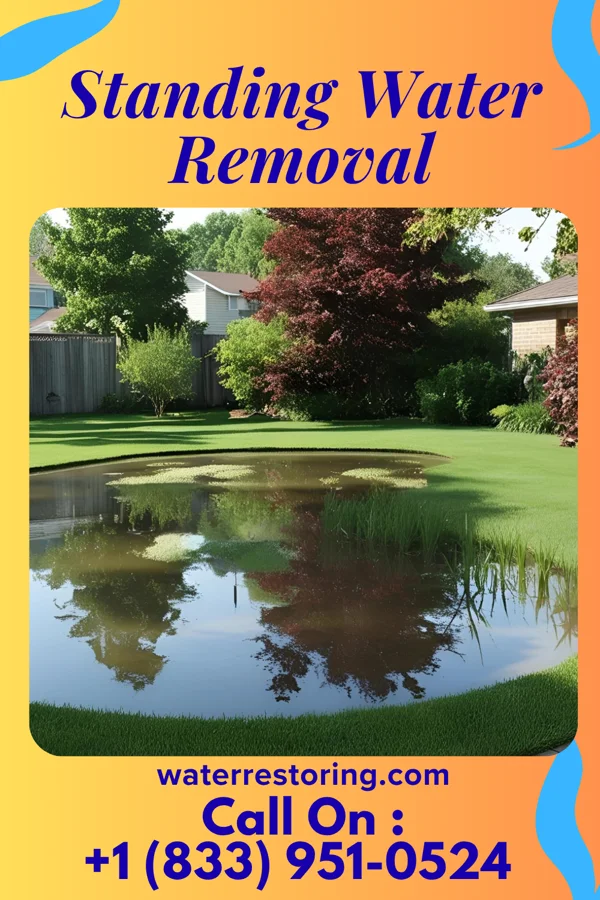 Standing Water Removal in Oak Grove, TX